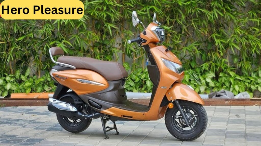 Hero Pleasure